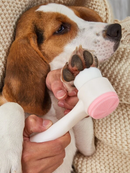 Bud & Co. CleanPaws™ | Escova Limpadora de Patinhas