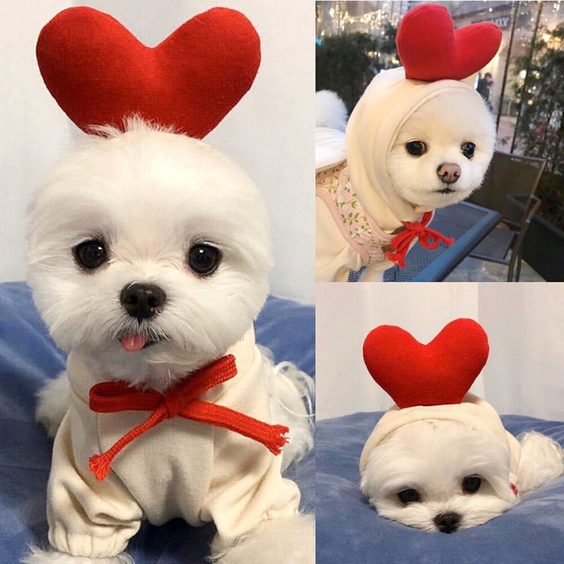 Bud & Co. LovePaws™ | Moletom Pet Amore