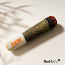 Bud & Co. PuffPlay™ | Pelúcia Divertida para Pets