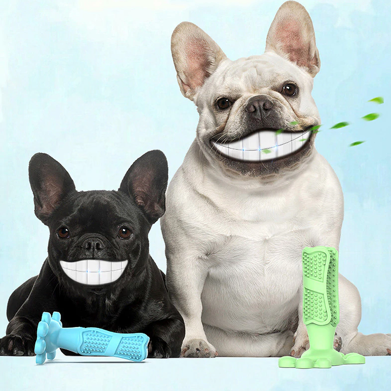 Bud & Co. EcoBrush™ | Escova Dental para Pets