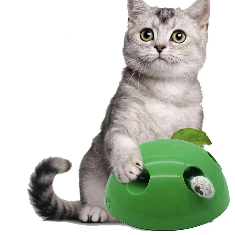 Bud & Co. MotionCat™ | Brinquedo de Movimento para Gatos