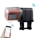 Bud & Co. AquaFeed™ | Alimentador Automático Wi-Fi