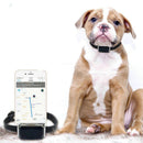 Bud & Co. TrackPaws™ | Coleira GPS Inteligente