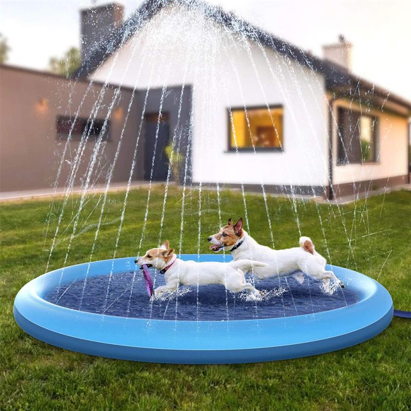 Bud & Co. SplashPlay™ | Piscina com Chafariz Pet