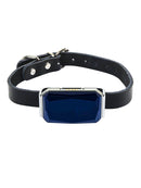 Bud & Co. TrackPaws™ | Coleira GPS Inteligente