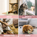 Bud & Co. CatnipIce™ | Sorvetinho Catnip