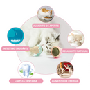 Bud & Co. CatnipIce™ | Sorvetinho Catnip