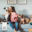 Bud & Co. PureAir™ | Purificador de Ar