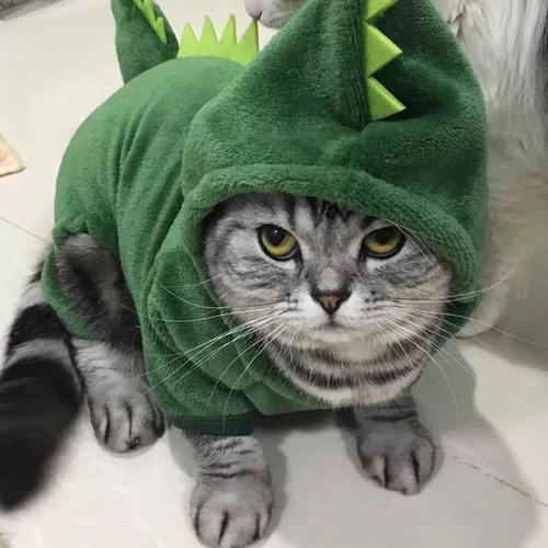Bud & Co. DinoPaws™ | Fantasia Pet Dino