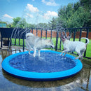 Bud & Co. SplashPlay™ | Piscina com Chafariz Pet