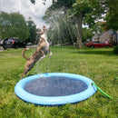 Bud & Co. SplashPlay™ | Piscina com Chafariz Pet