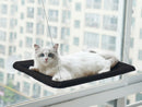 Bud & Co. WindowNest™ | Rede de Janela para Gatos