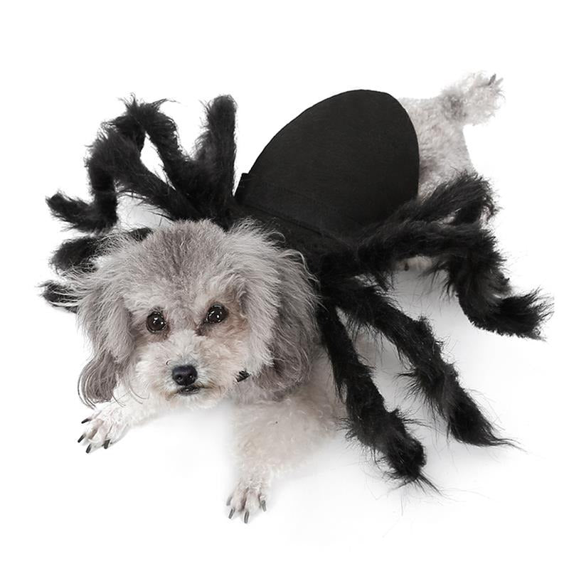Bud & Co. SpiderPaws™ | Fantasia Aranha Pet