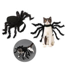 Bud & Co. SpiderPaws™ | Fantasia Aranha Pet