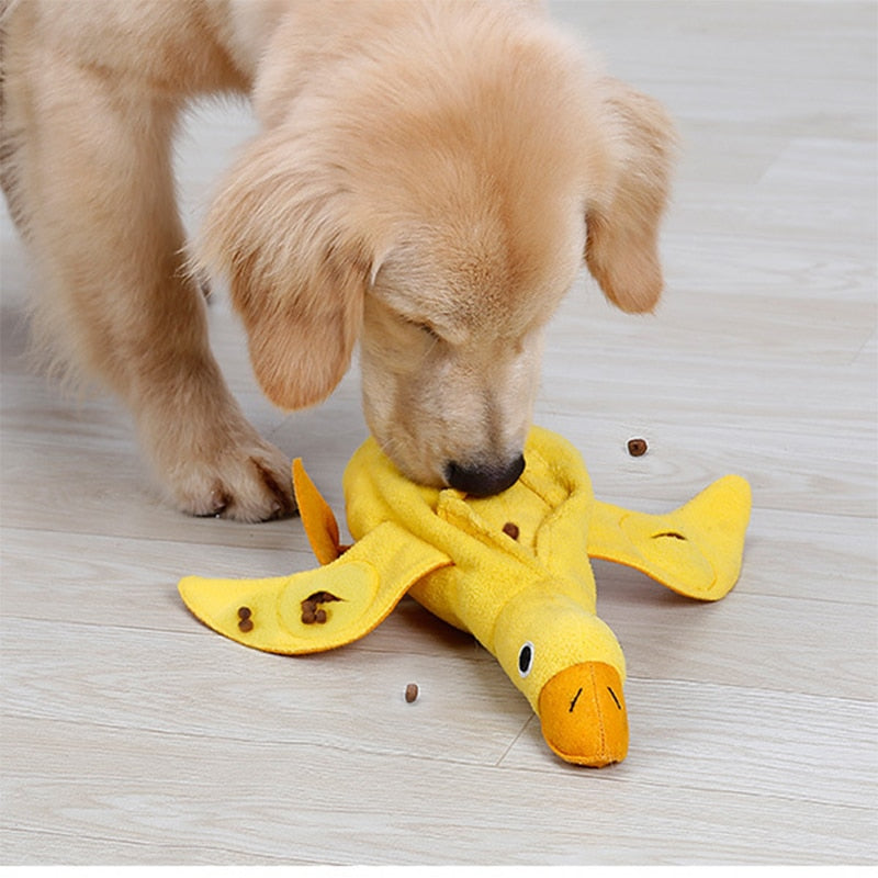 Bud & Co. DuckPlay™ | Pato Interativo para Pets