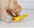 Bud & Co. DuckPlay™ | Pato Interativo para Pets