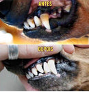 Bud & Co. FreshBreath™ | Spray Oral Pet