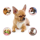 Bud & Co. FreshBreath™ | Spray Oral Pet
